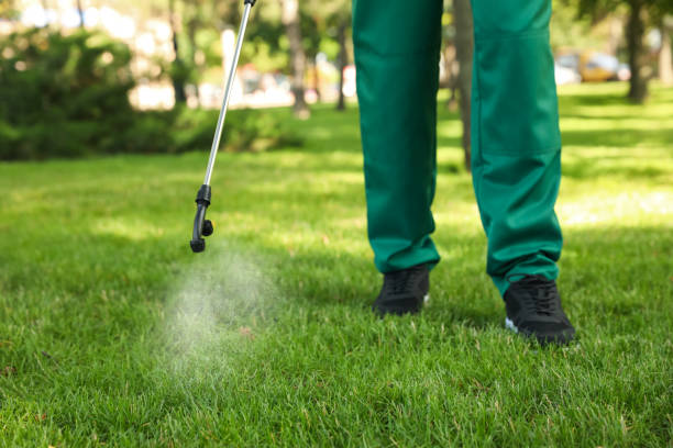 Best Mosquito Control Services  in Winchester, TN