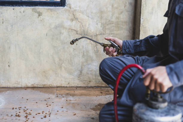 Best Affordable Pest Control Services  in Winchester, TN